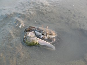 2009090904.jpg