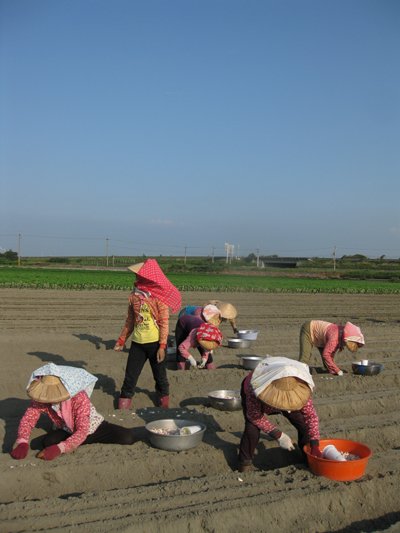 2009091903.jpg