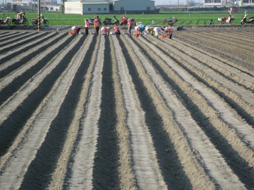 2009091904.jpg
