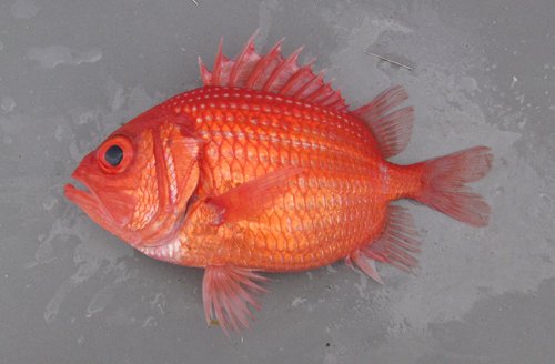2010041407.jpg