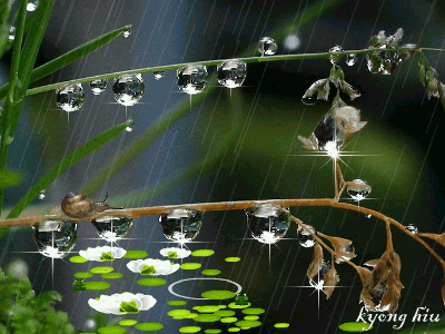 bad-day01.gif