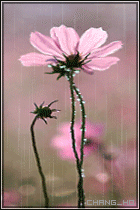 1132640082.gif