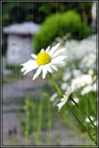 1132640095.gif
