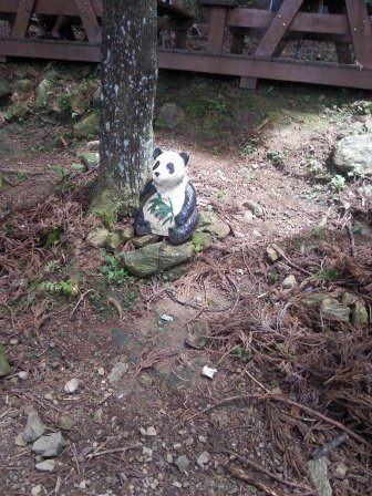 20150712_132357.jpg