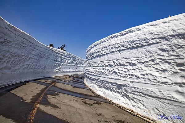 蔵王 雪壁