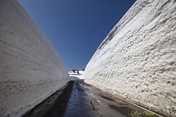 蔵王 雪壁