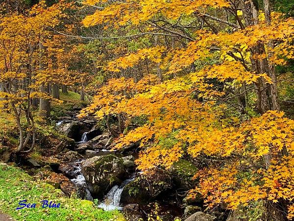 日本秘境 岐阜縣高山市 宇津江四十八滝