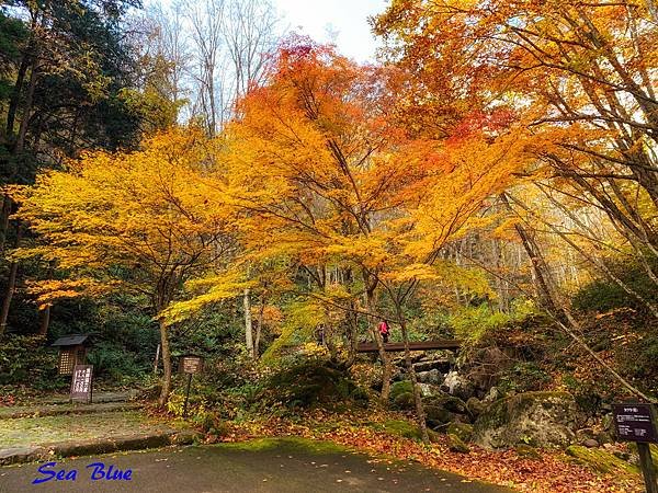 日本秘境 岐阜縣高山市 宇津江四十八滝