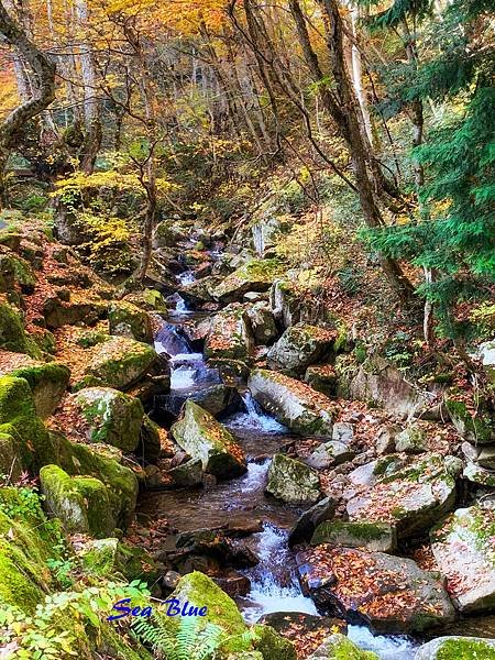 日本秘境 岐阜縣高山市 宇津江四十八滝