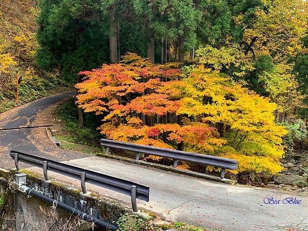 日本秘境 岐阜縣高山市 宇津江四十八滝