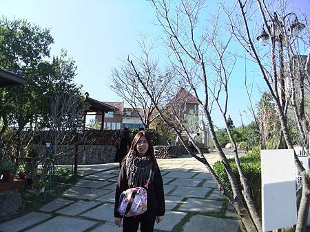 DSCF3761.JPG