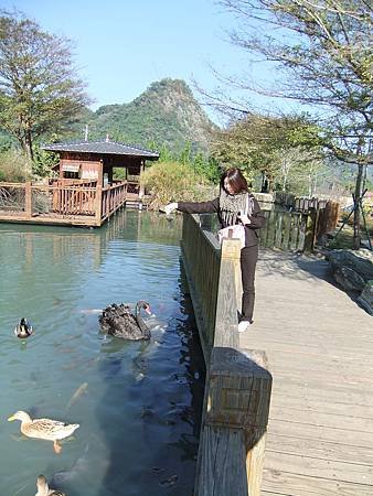 DSCF3758.JPG