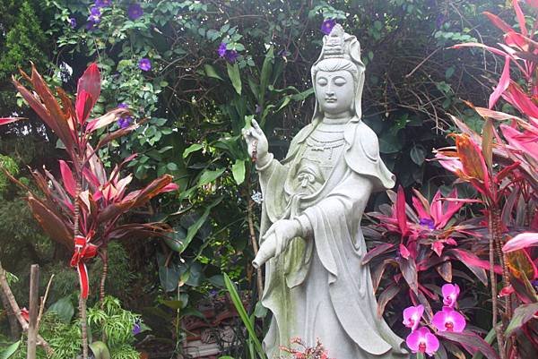 陽光下觀世音菩薩
