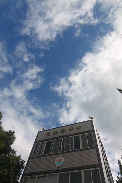 講堂上空的雲彩之四