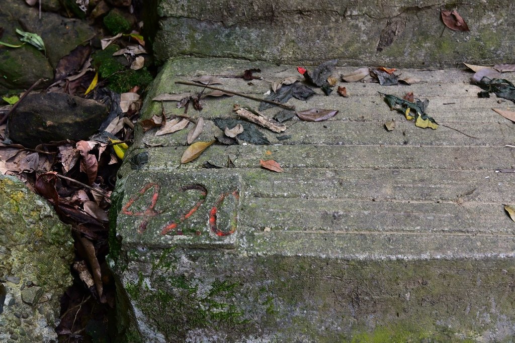 台北大縱走第六段(富陽公園-松山慈惠堂)