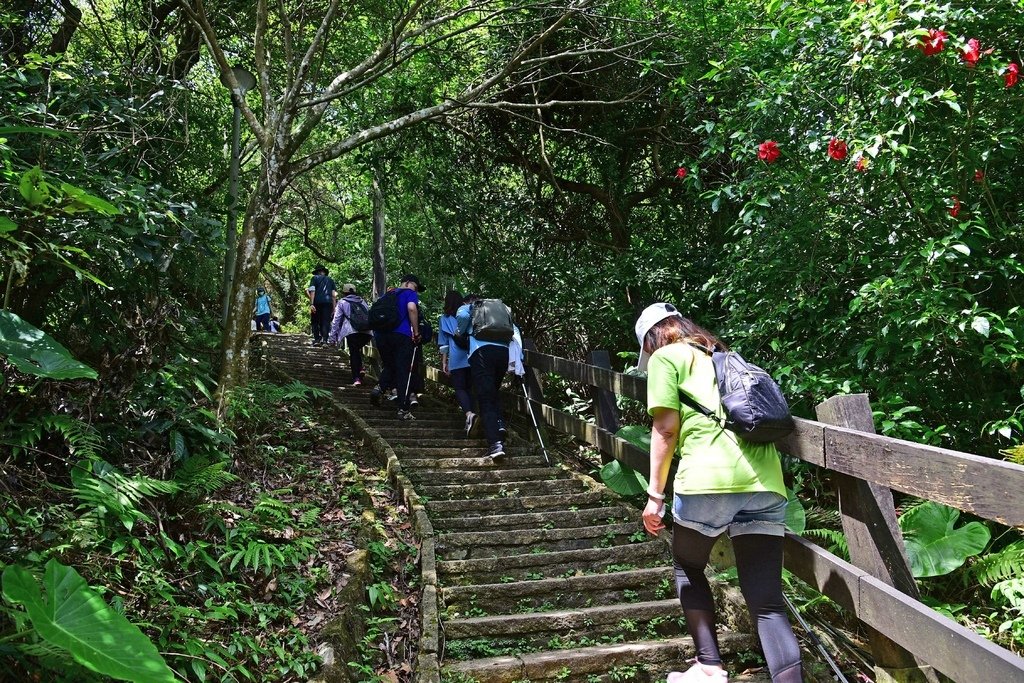 南港山縱走(南港山/九五峰/象山)
