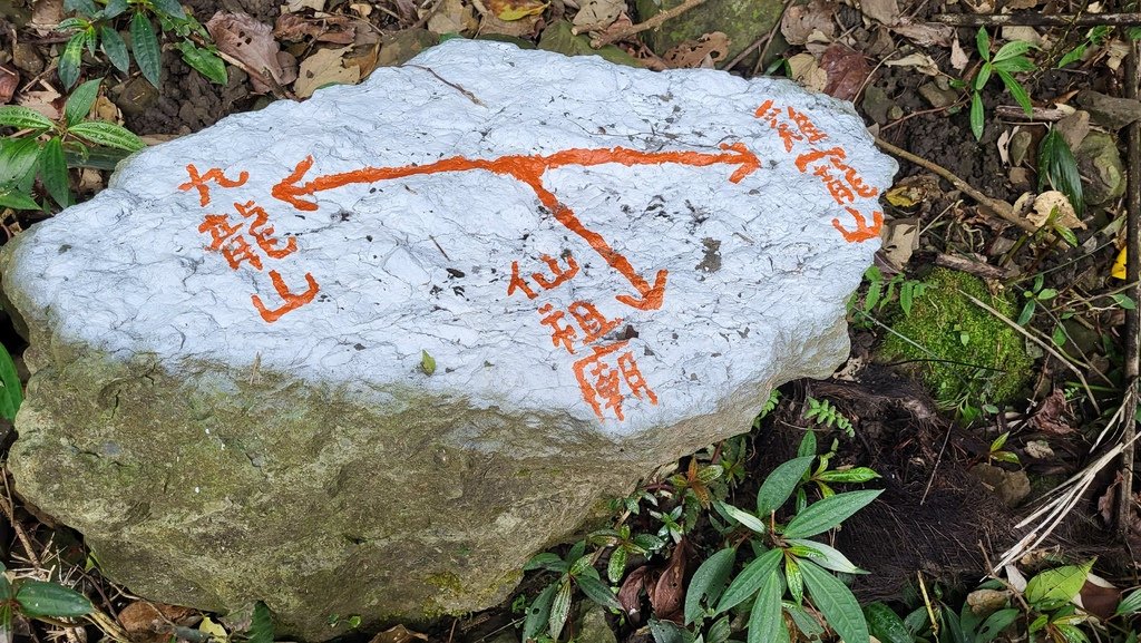 白河凍九雞o型連走