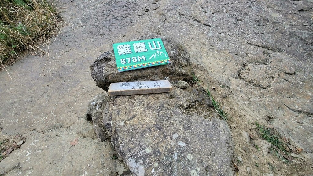 白河凍九雞o型連走
