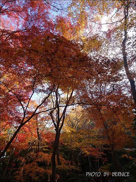 DSC04053.JPG