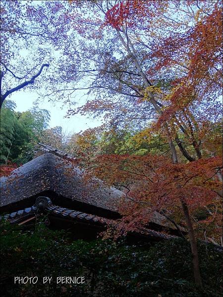 DSC04064.JPG