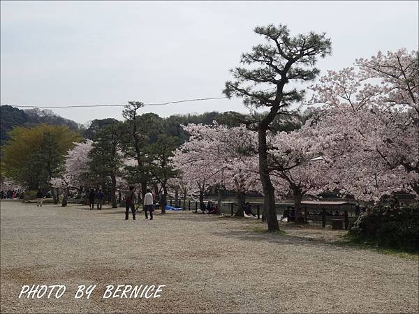 DSC08918.JPG