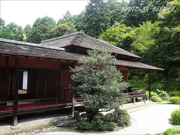 DSC04770.JPG