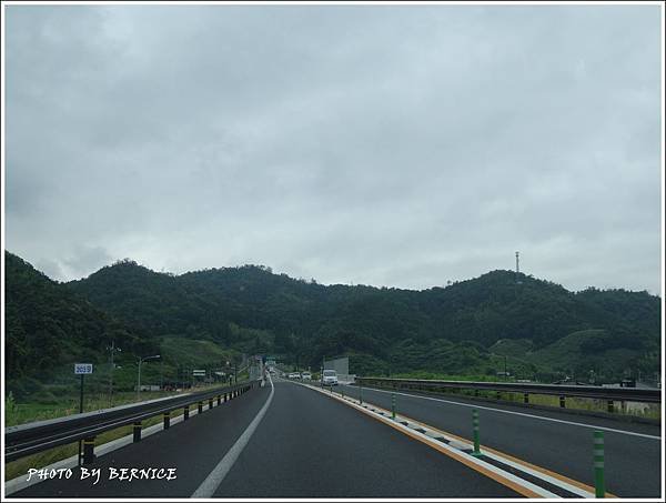 DSC08520.JPG