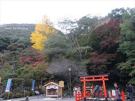 DSC07901