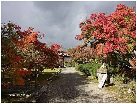 DSC05347_副本.jpg