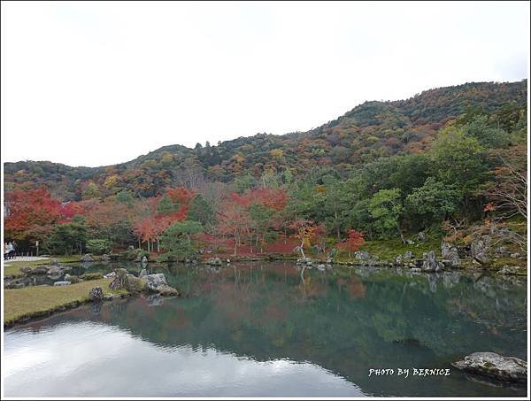 DSC07279_副本.jpg