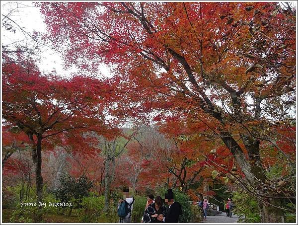 DSC07286_副本.jpg