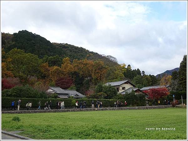 DSC07297_副本.jpg