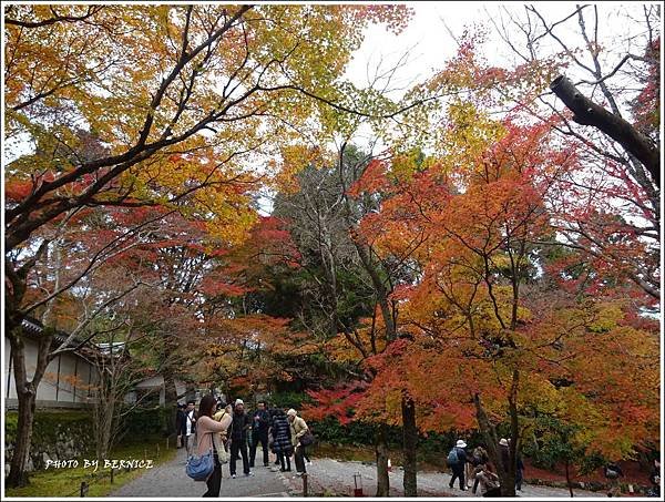 DSC07307_副本.jpg