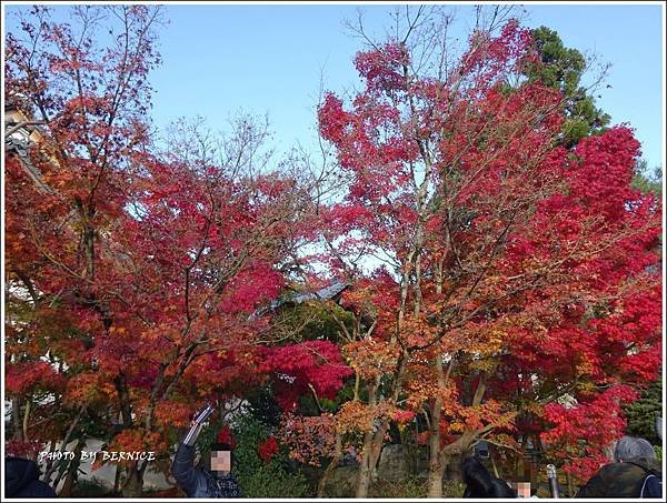 DSC07353_副本.jpg
