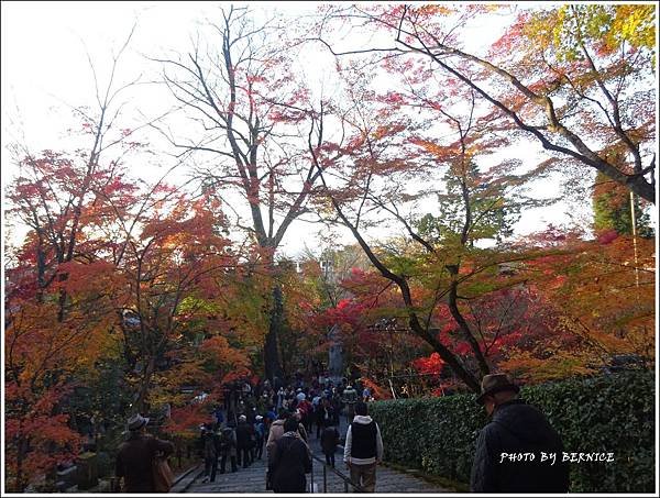 DSC07382_副本.jpg