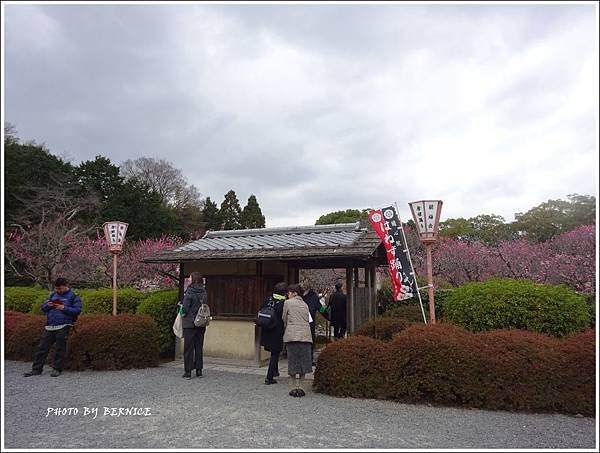 DSC04119_副本.jpg