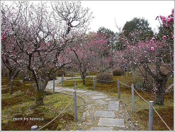 DSC04290_副本.jpg