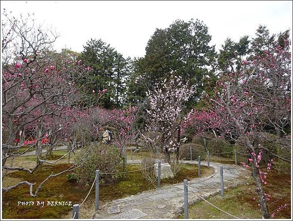 DSC04301_副本.jpg