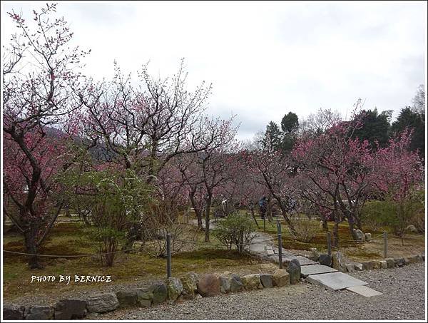DSC04318_副本.jpg