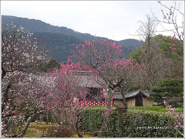 DSC04327_副本.jpg