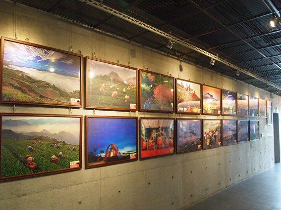 P2278341.jpg