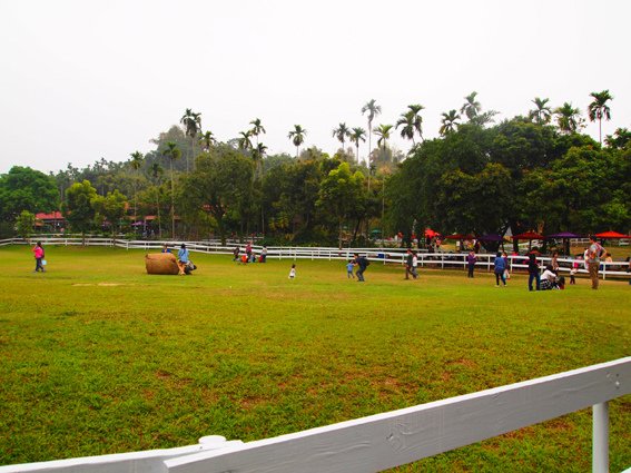 P2278453.jpg