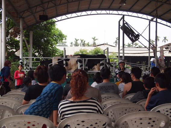 P2278514.jpg