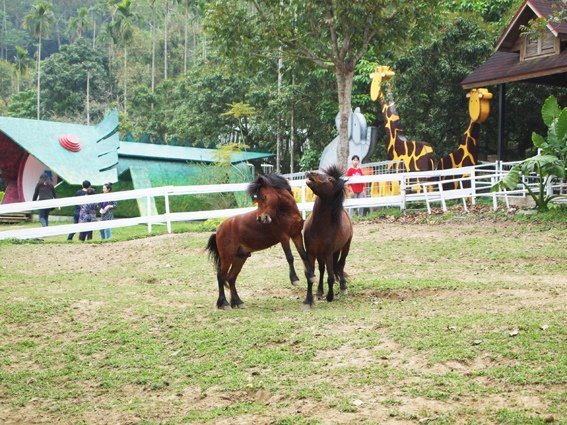 P2278588.jpg