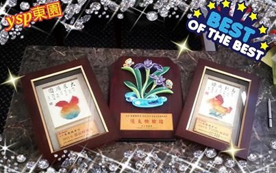 感謝大家給的肯定