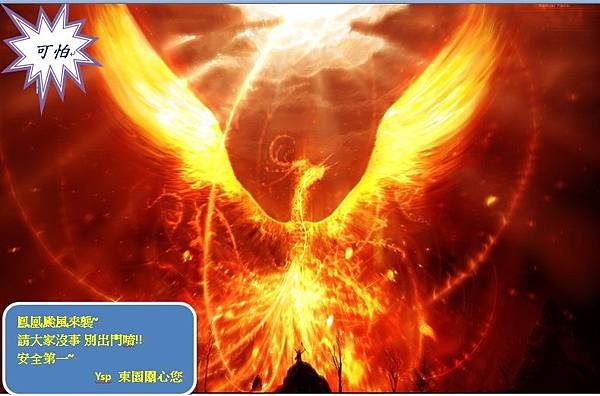 鳳凰颱風來襲 東園關心您