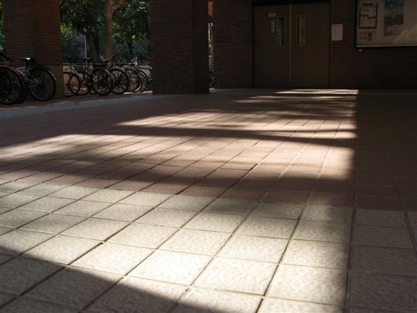 2010/2/10 中正大學
