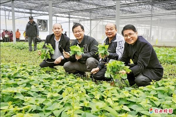 電腦化溫室 有機蔬菜住豪宅