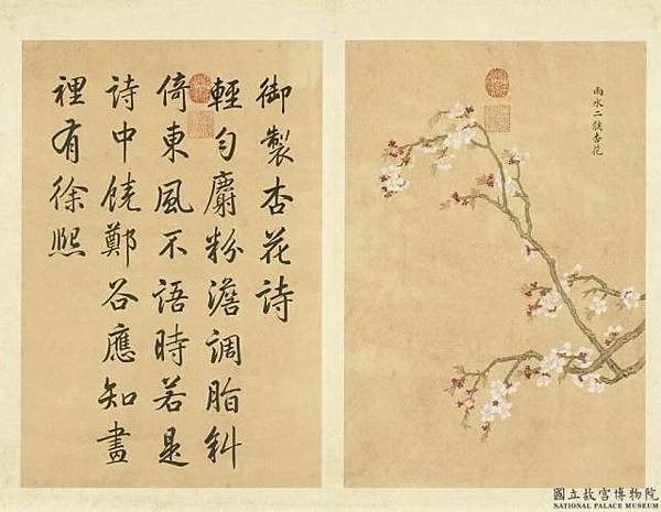 清余省畫墨妙珠林 (子) 冊 雨水二候杏花- 台灣書院