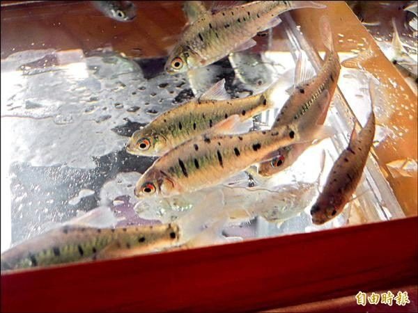 818311_20141002_600_245.jpg